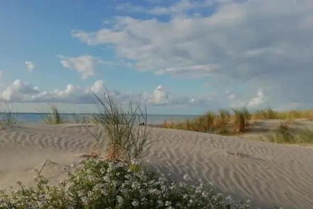 Gite 4, Maison à Quend-Plage près de la forêt - Photo 22