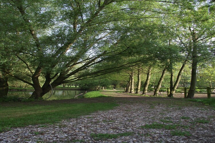 Maison 4 pers. à Quend-Plage : piscine et forêt - Photo 9