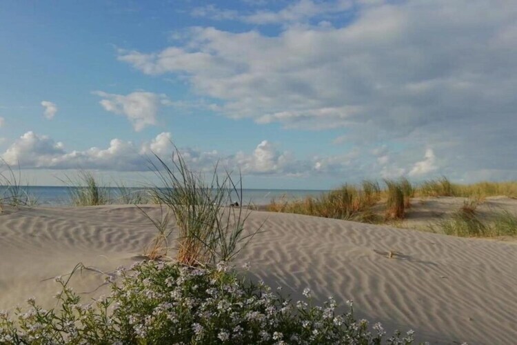 Maison 4 pers. à Quend-Plage : piscine et forêt - Photo 27
