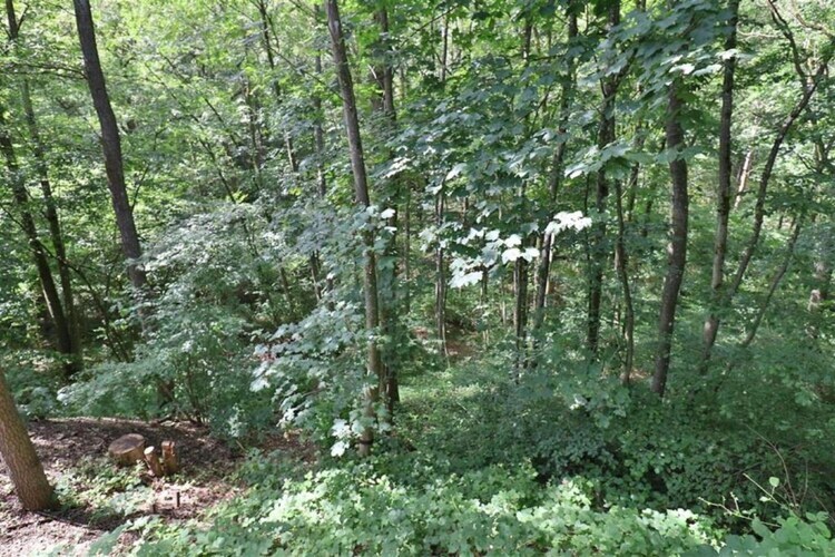Mas du Puits – Villa 10 pers. avec piscine à Saint-Paul-en-Forêt - Photo 34