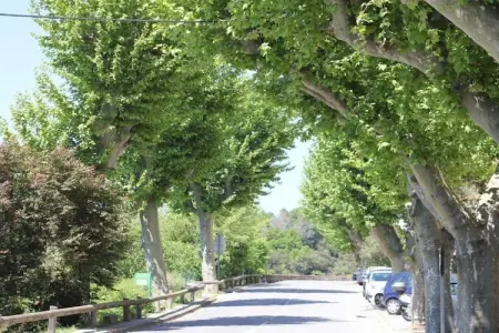 Les Plantiers, Maison en Provence avec piscine privée - Photo 32