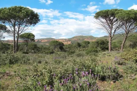 Les Plantiers, Maison en Provence avec piscine privée - Photo 35