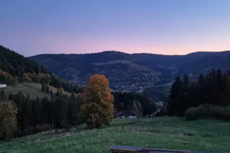 le Menil, Chalet à La Bresse proche des pistes - Photo 23