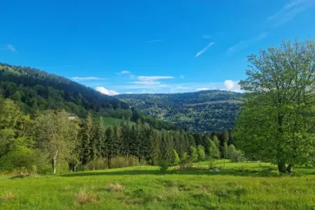 le Menil, Chalet à La Bresse proche des pistes - Photo 25