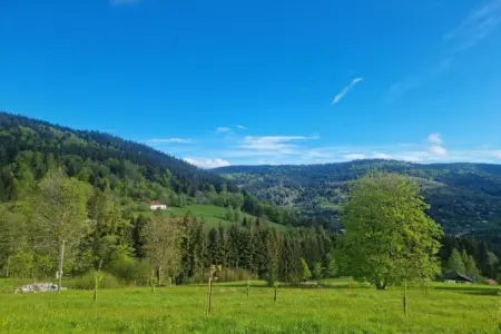 le Menil, Chalet à La Bresse proche des pistes - Photo 26