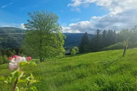 le Menil, Chalet à La Bresse proche des pistes - Photo 27