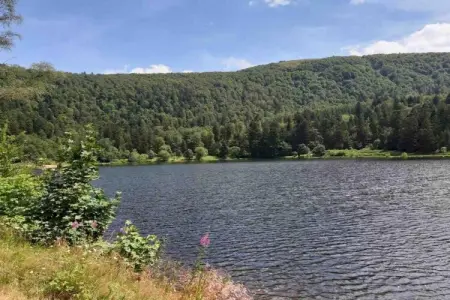 le Menil, Chalet à La Bresse proche des pistes - Photo 31