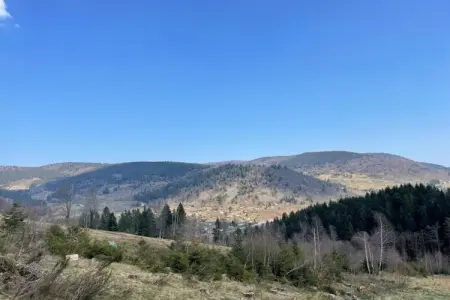 le Menil, Chalet à La Bresse proche des pistes - Photo 32