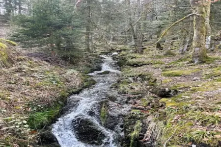 le Menil, Chalet à La Bresse proche des pistes - Photo 35