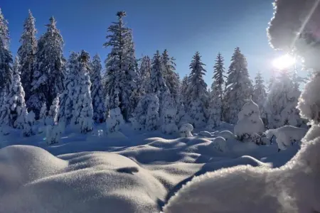 le Menil, Chalet à La Bresse proche des pistes - Photo 38