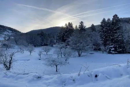 le Menil, Chalet à La Bresse proche des pistes - Photo 39