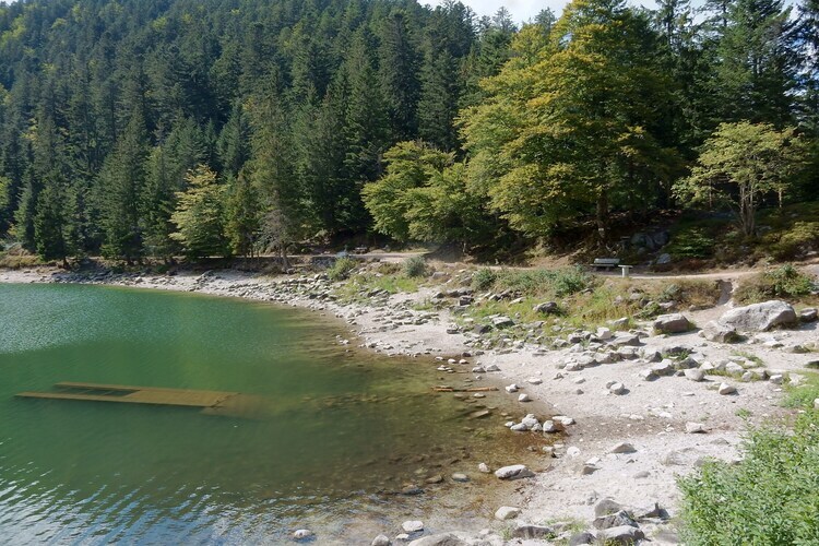 L'Ourson, chalet bois avec vue vallée à La Bresse - Photo 37
