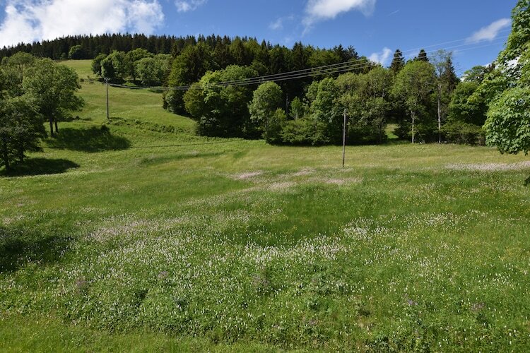 La Bergerie, chalet indépendant en montagne - Photo 23