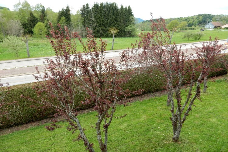 Chalet Les Chalets du Neune 13 - 8 pers, jardin - Photo 18
