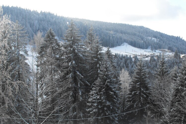 Chalet Les Chalets du Neune 13 - 8 pers, jardin - Photo 24