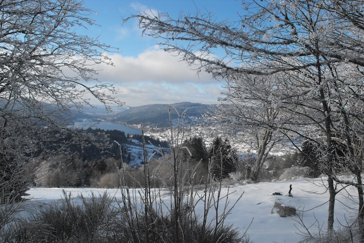 Chalet du Neune 11 - 8 personnes, terrasse à Gerbépal - Photo 28