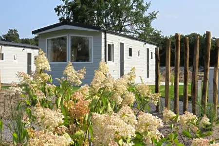 Berkel 6, Chalet familial dans la Campine anversoise - Photo 7