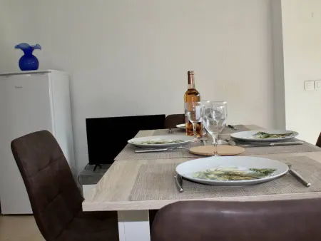 Appartement RDC 45m² - 100m de la plage à Villeneuve-Loubet : photo 7