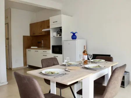 Appartement RDC 45m² - 100m de la plage à Villeneuve-Loubet : photo 14