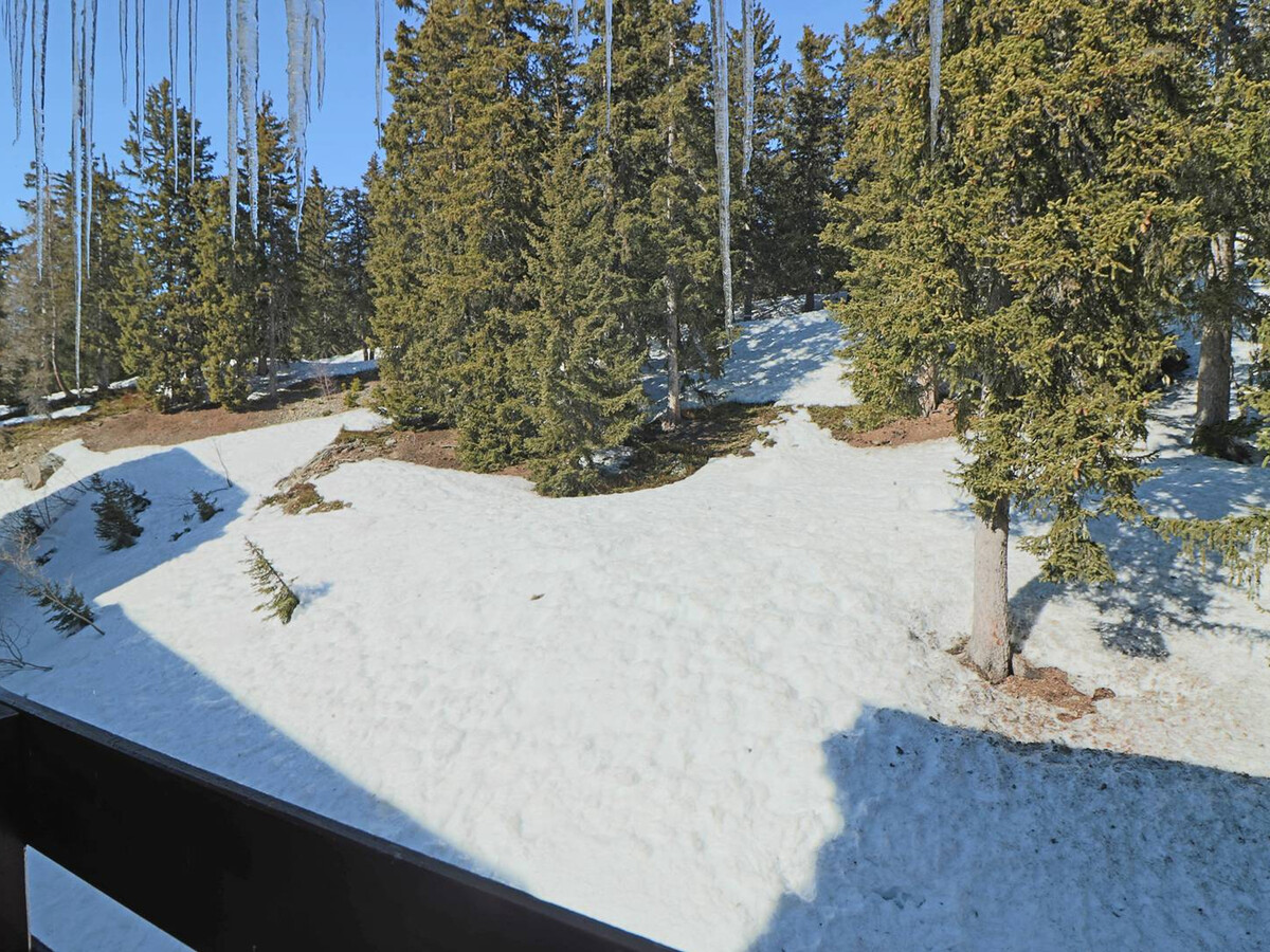 Studio mezzanine 4 pers. à 50m des pistes, Montvalezan - Photo 10