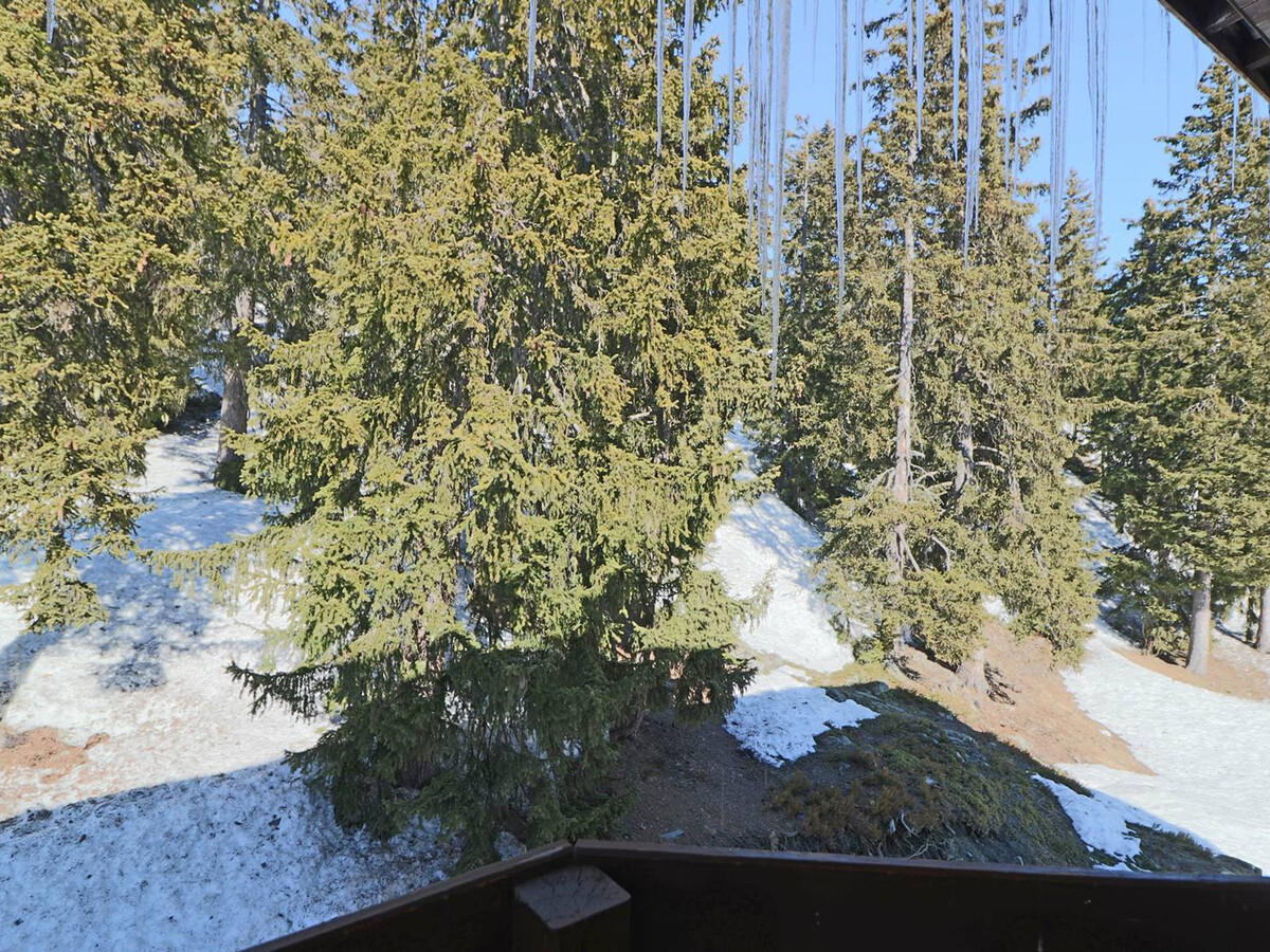 Studio mezzanine 4 pers. à 50m des pistes, Montvalezan - Photo 11