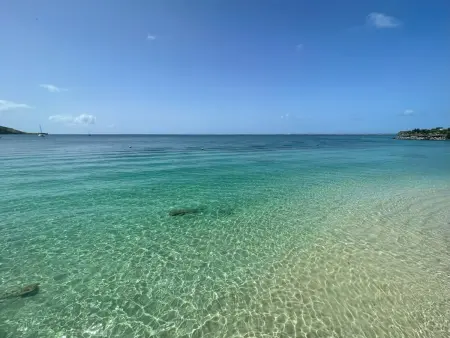 Studio Vida Loca à Grand Case, 2 min de la plage : photo 18