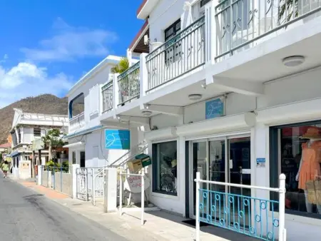 Studio Vida Loca à Grand Case, 2 min de la plage : photo 20