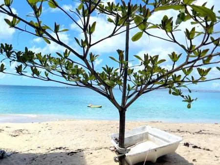 Studio Vida Loca à Grand Case, 2 min de la plage : photo 21
