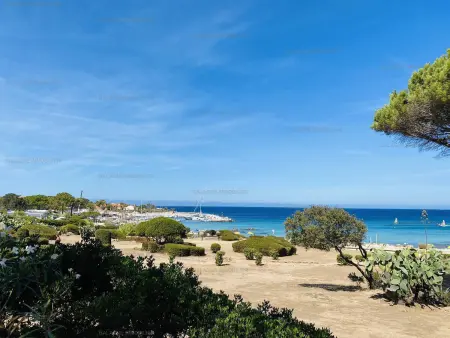 Appartement 2P à Lumio, terrasse vue mer à 100m plage : photo 19