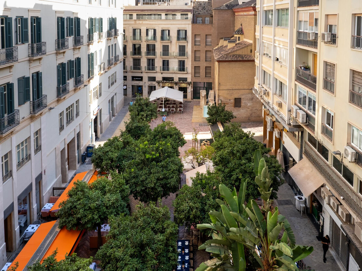 Appartement 2 chambres, terrasse Plaza de las Flores - Photo 3