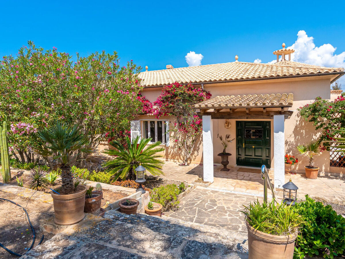 Las Gaviotas Style & Charm, maison Ses Salines - Photo 35