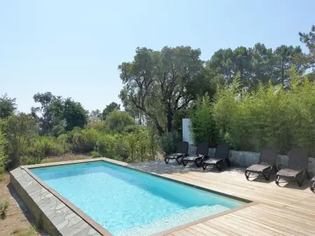 Villa Kalliste à Solenzara, 4 chambres avec piscine : photo 26