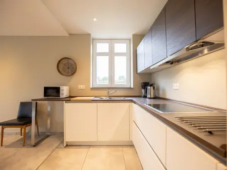 Maison à Riemst : 2 logements séparés pour 8 personnes : photo 37