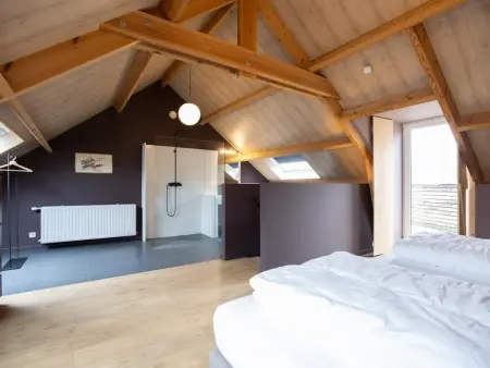 Maison à Riemst : 2 logements séparés pour 8 personnes : photo 47