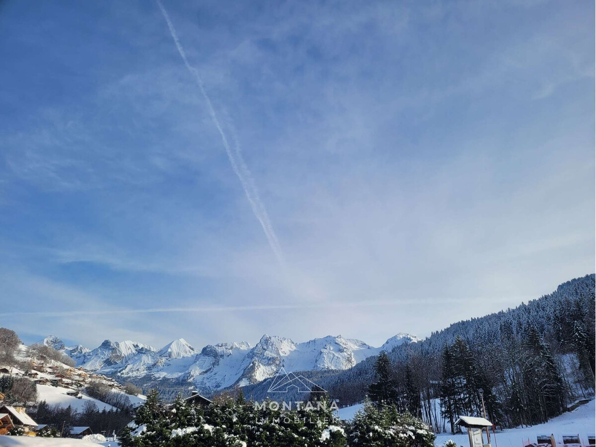 Studio 28m² avec jardinet face aux pistes, Le Grand-Bornand - Photo 12