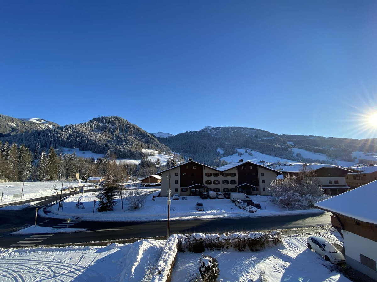 Appartement 2 chambres, balcon sud, ski à 1 km à Praz-sur-Arly - Photo 19