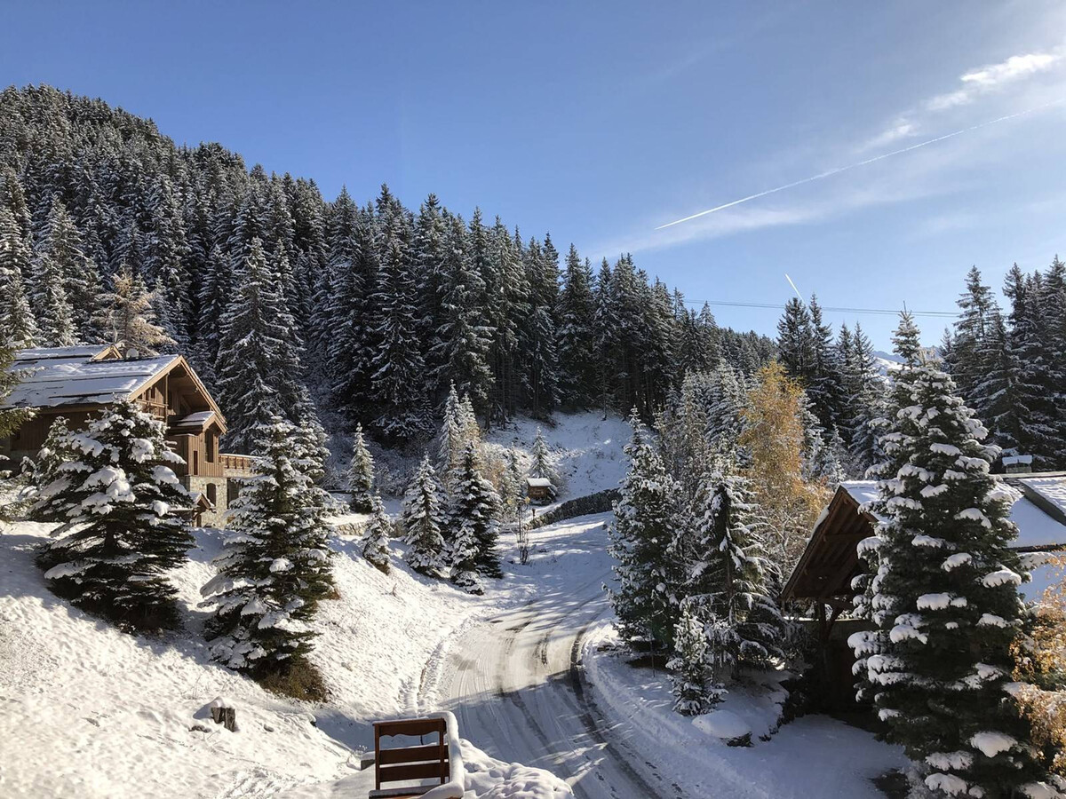 Appartement 2 pièces Méribel, 100m des pistes, balcon - Photo 21