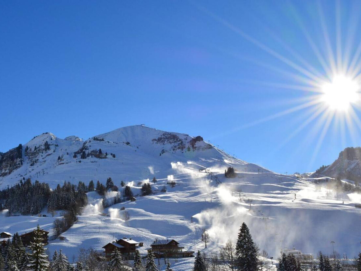 Appart. 6 pers au Chinaillon, terrasse sud vue pistes - Photo 10