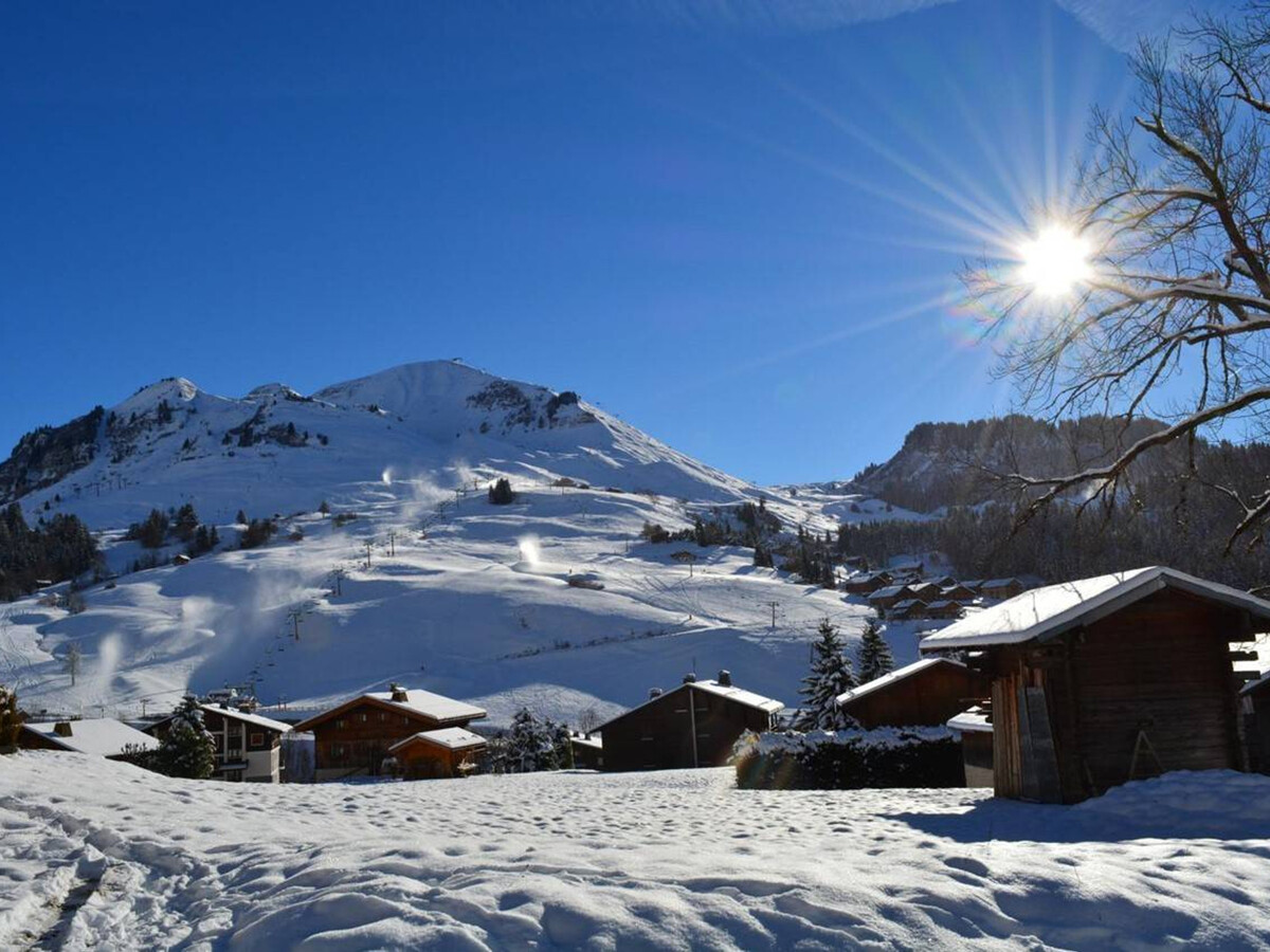 Appart. 6 pers au Chinaillon, terrasse sud vue pistes - Photo 14