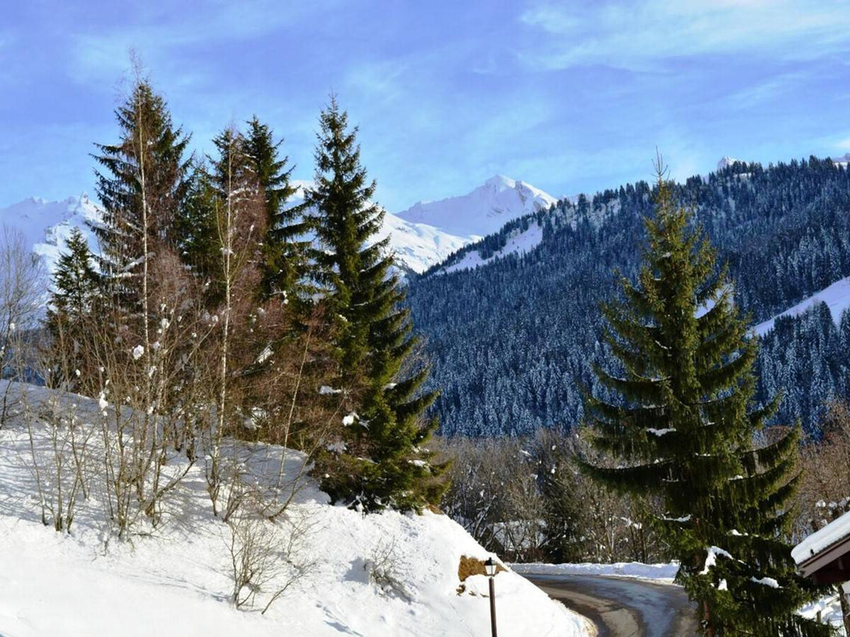 Studio ensoleillé balcon sud avec parking, Le Grand-Bornand - Photo 16