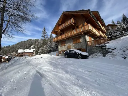 Appartement Méribel 5 pers : cheminée, terrasse Sud, pistes à 250 m : photo 28