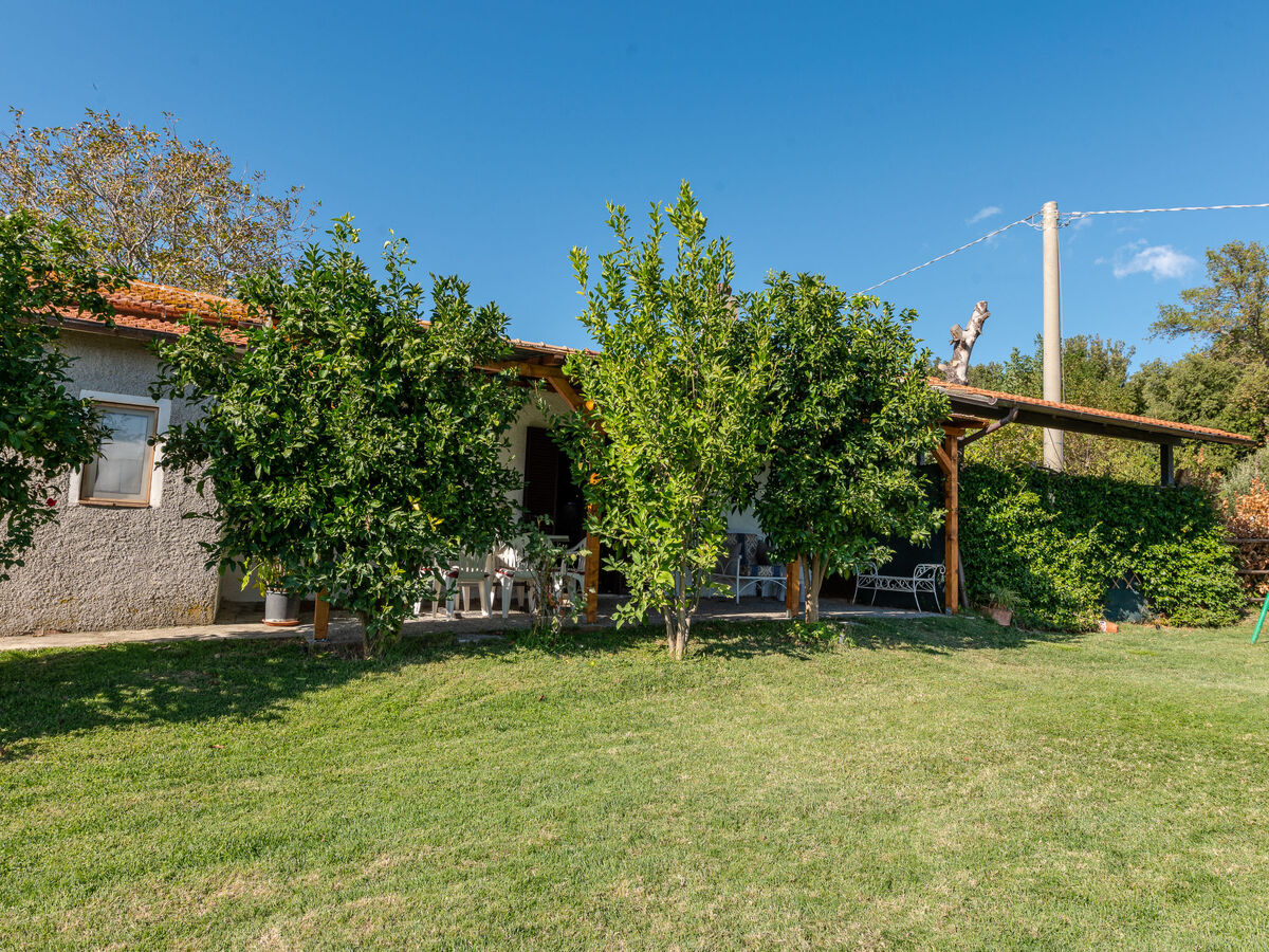 Country House rustique avec vue à Scansano - Photo 22