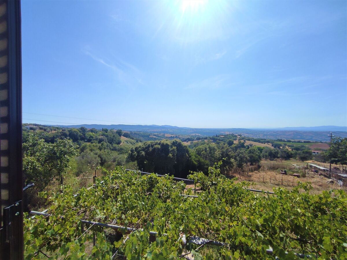 Country House rustique avec vue à Scansano - Photo 26