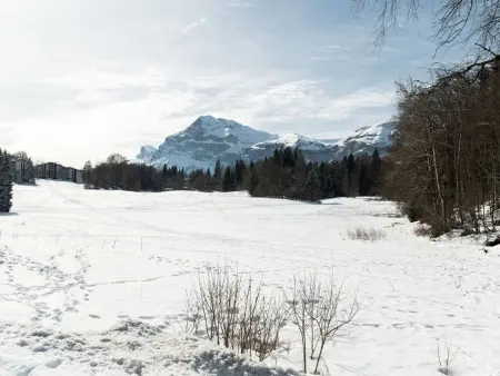 Studio 4 pers aux Carroz, balcon sud à 450 m des pistes : photo 9