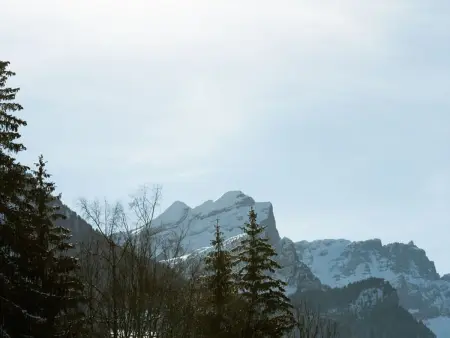 Studio 4 pers aux Carroz, balcon sud à 450 m des pistes : photo 10