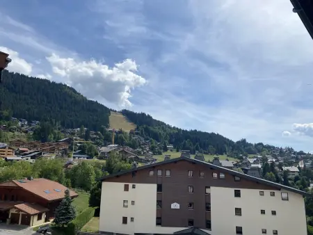 Studio 4 pers aux Carroz, balcon sud à 450 m des pistes : photo 12