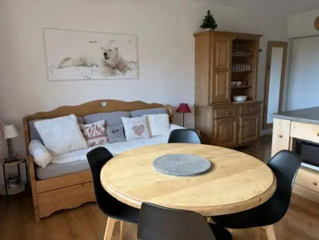 Appartement 45m² balcon sud, 320m des pistes aux Carroz : photo 2