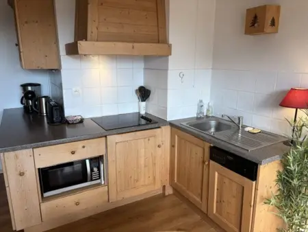 Appartement 45m² balcon sud, 320m des pistes aux Carroz : photo 3