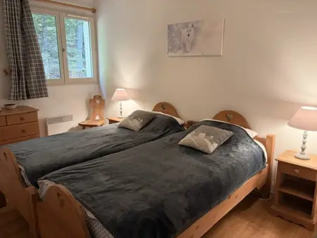 Appartement 45m² balcon sud, 320m des pistes aux Carroz : photo 4