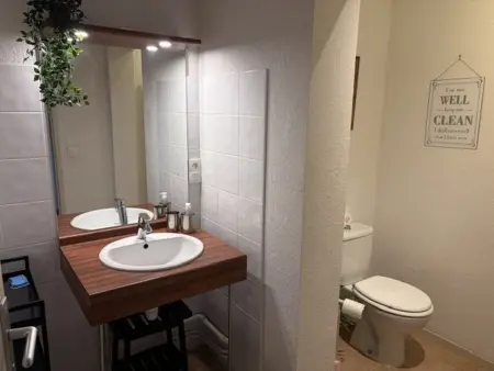 Appartement 45m² balcon sud, 320m des pistes aux Carroz : photo 6